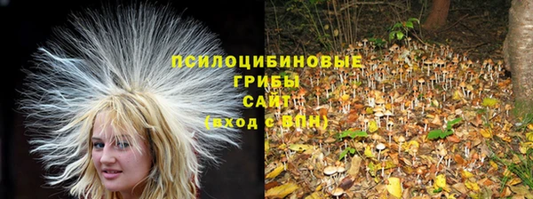 тгк Арсеньев