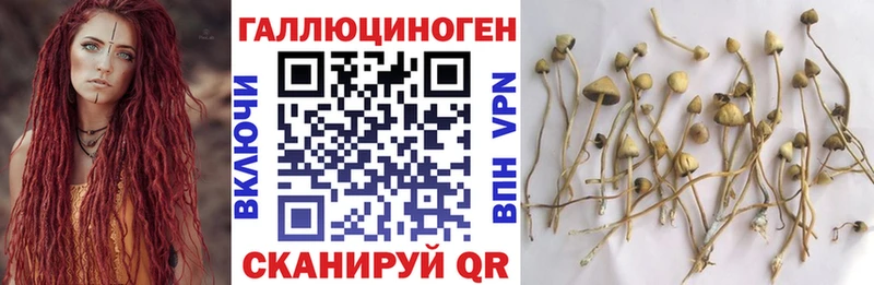 shop как зайти  Рыльск  Галлюциногенные грибы GOLDEN TEACHER 